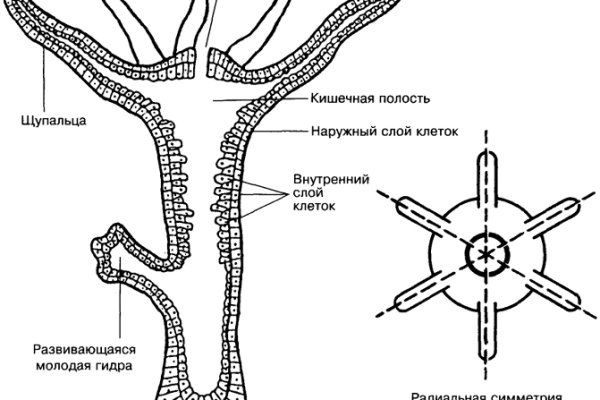 Кракен интернет