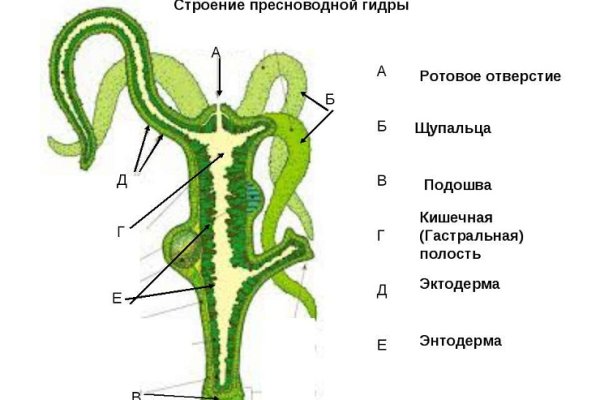 Ссылка на кракен tor