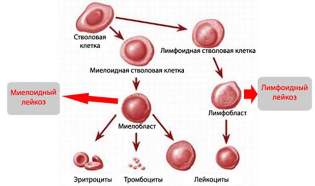 Кракен kr2web in маркетплейс